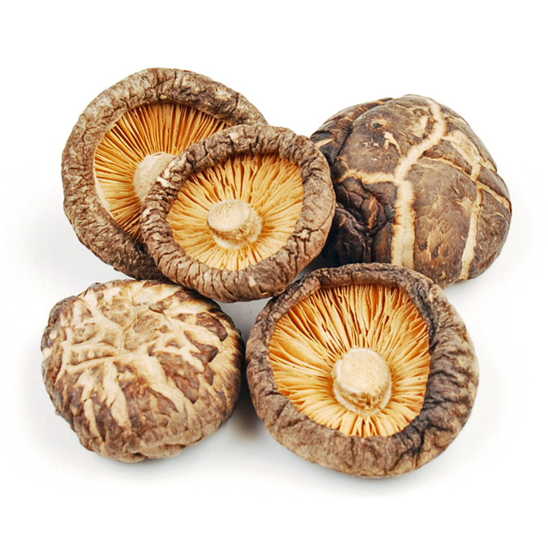 Shiitake grybai