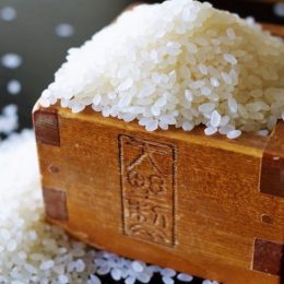 Akita Komachi ryžiai