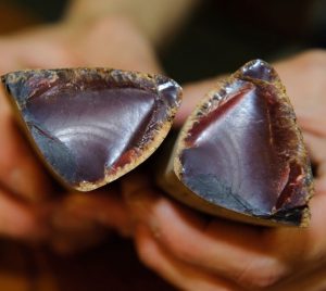 bonito katsuobushi