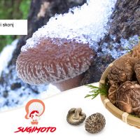 Umami shiitake