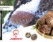 Umami shiitake